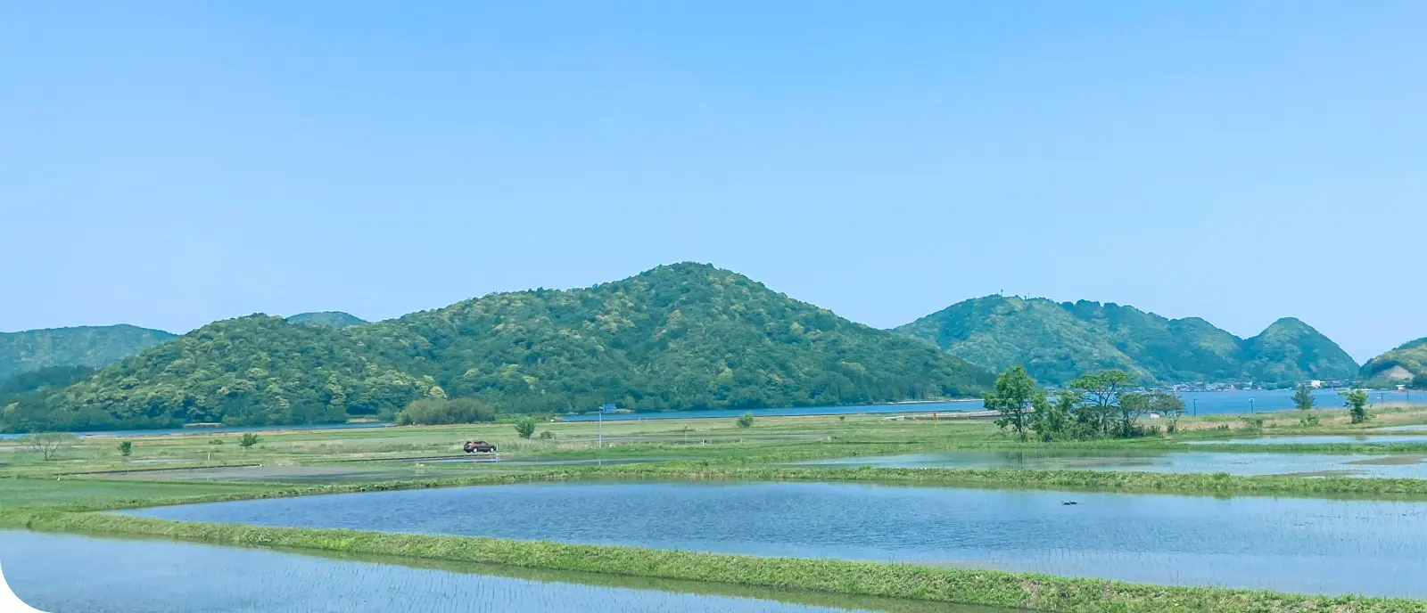 福井県美浜町の田んぼ、山、湖の風景写真